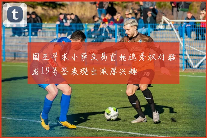 国王寻求小萨交易首轮选秀权对猛龙19号签表现出浓厚兴趣